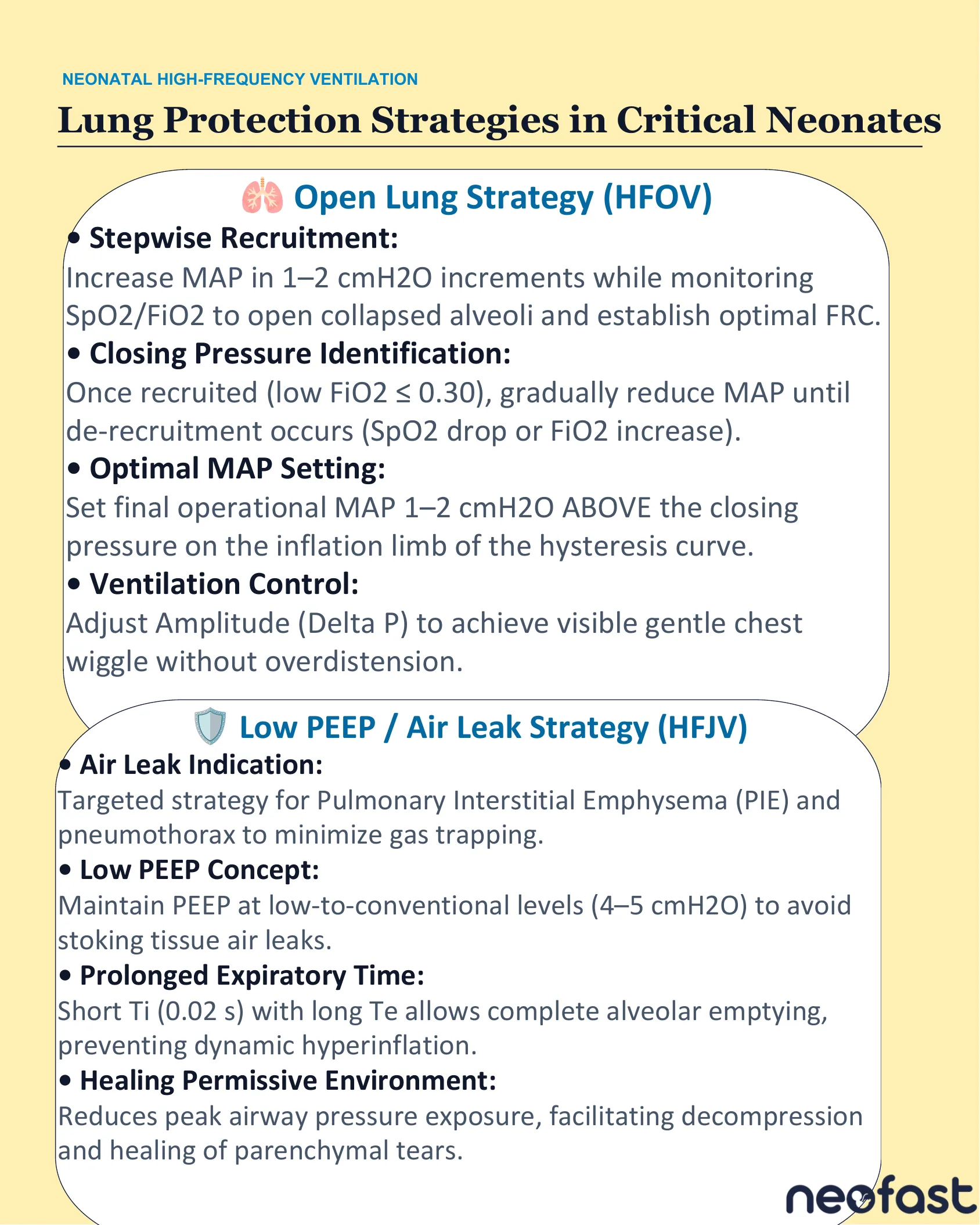 Two panels describing the Open Lung Strategy used with HFOV and the Low PEEP/Air Leak Strategy used with HFJV in critically ill neonates.