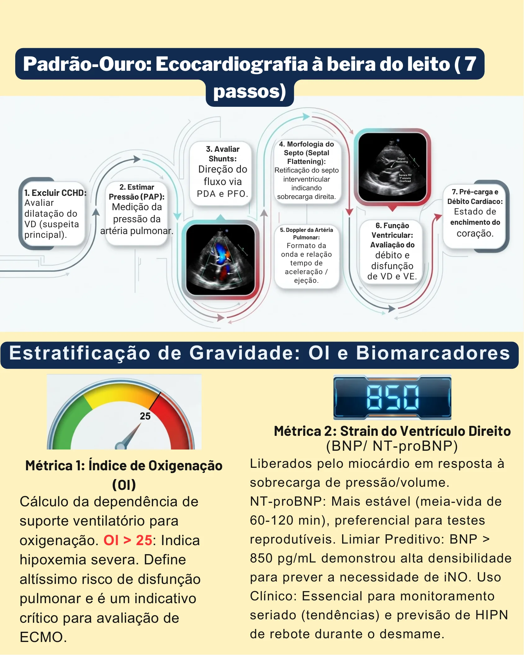 Circular flowchart of seven echocardiography steps for evaluating PPHN with ultrasound images, followed by two severity metrics gauges for oxygenation index and BNP biomarker