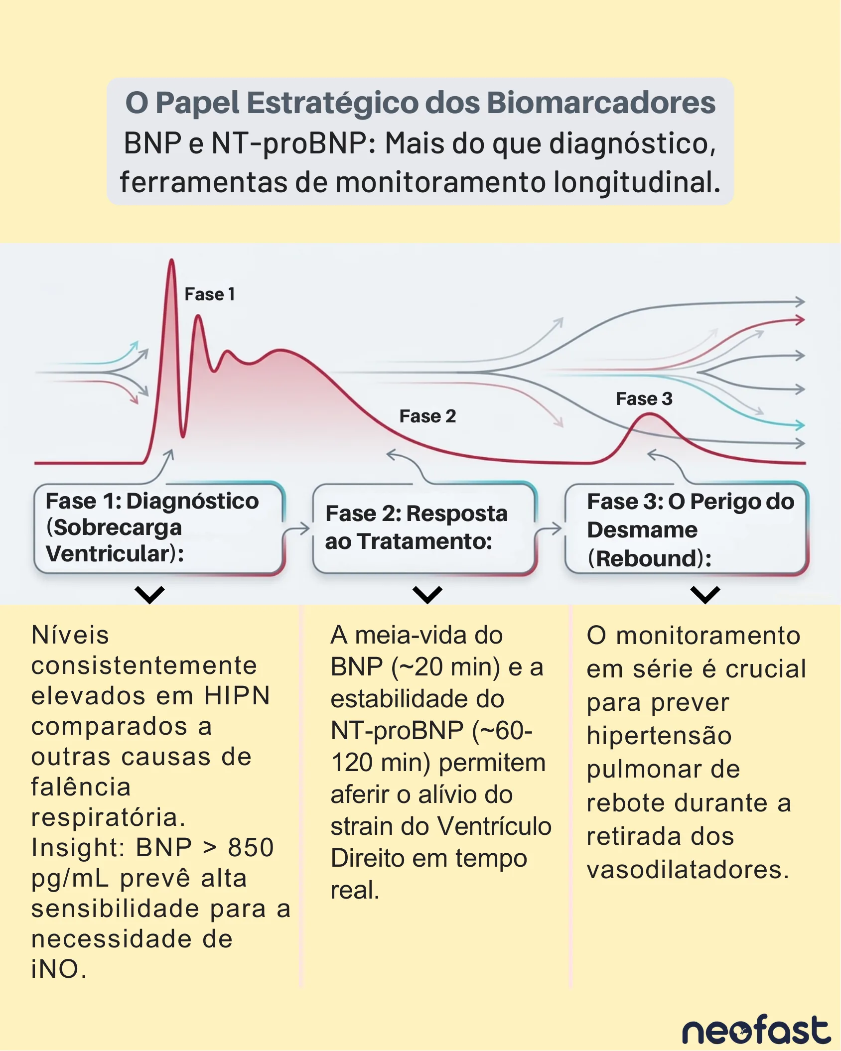 Diagram showing three phases of BNP/NT-proBNP biomarker behavior over time: diagnosis, response to treatment, and rebound risk during weaning.