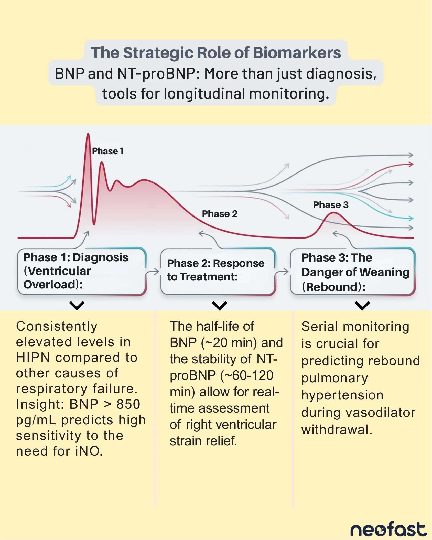 Infográfico em formato de linha do tempo com três fases (diagnóstico, resposta ao tratamento e desmame) mostrando o comportamento do BNP e NT-proBNP na HIPN.