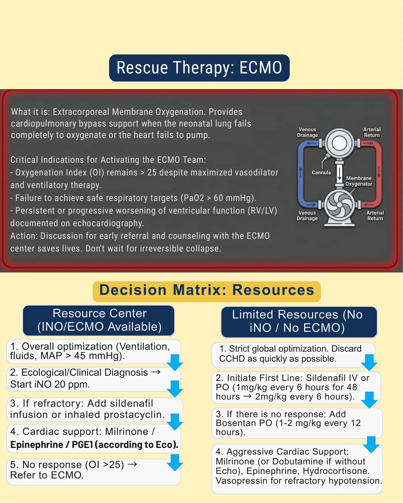 Infográfico explicando a ECMO como terapia de resgate na hipertensão pulmonar neonatal e uma matriz de decisão comparando condutas em centros com recursos versus recursos limitados.