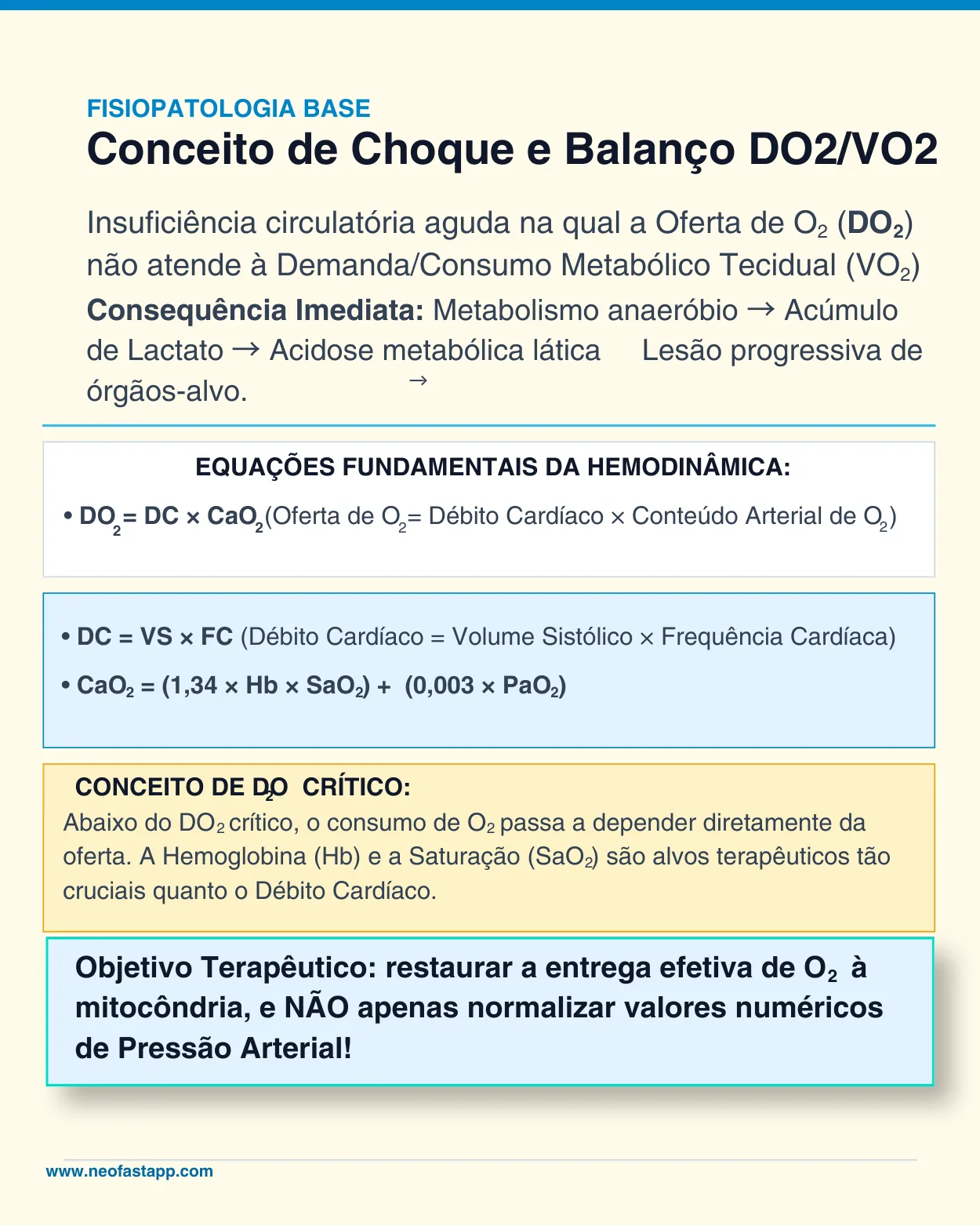 Infográfico explicando o conceito de choque neonatal e as equações fundamentais da hemodinâmica envolvendo oferta e consumo de oxigênio.