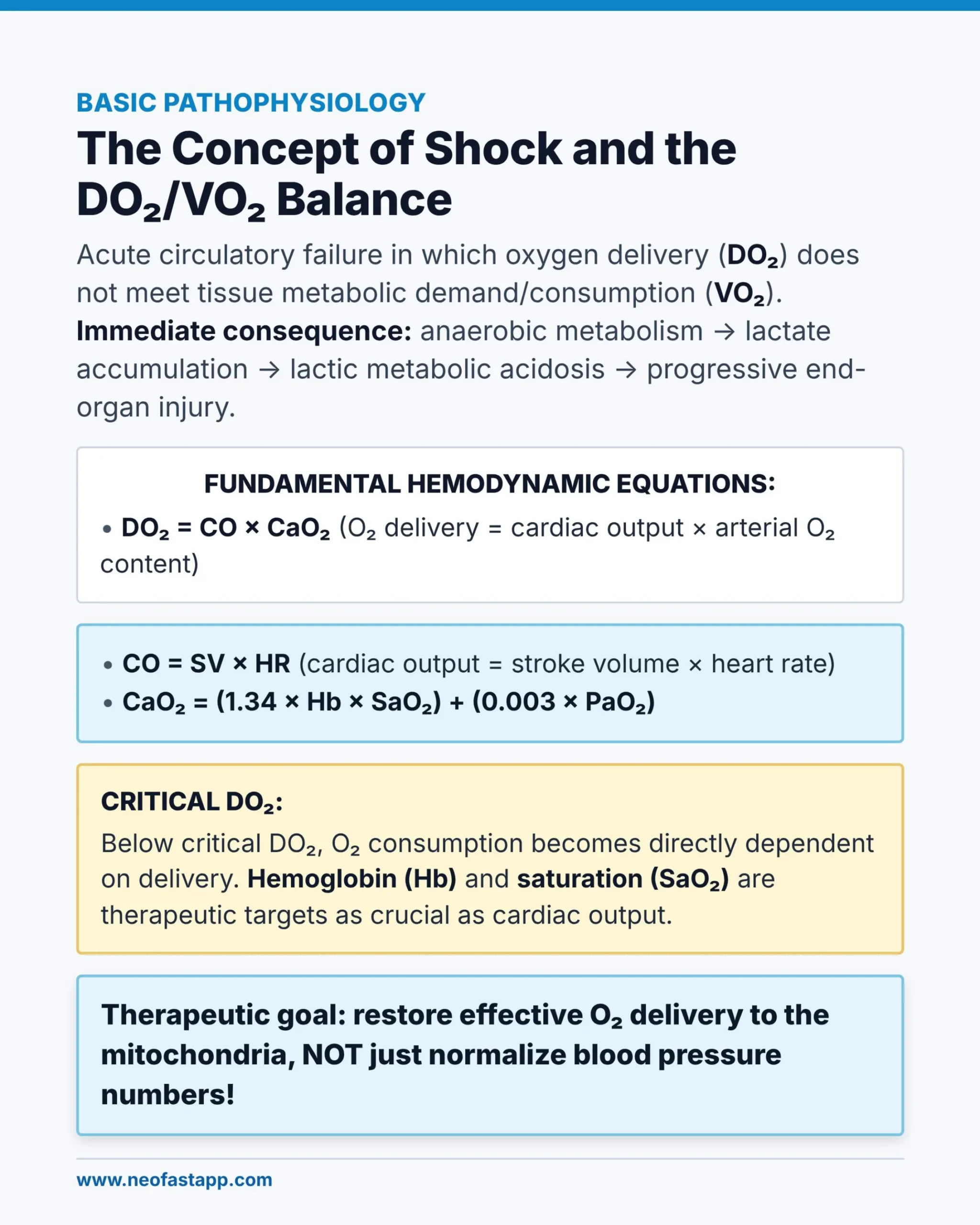 Infographic page explaining the basic pathophysiology of shock and the oxygen delivery/oxygen consumption balance with key hemodynamic equations.