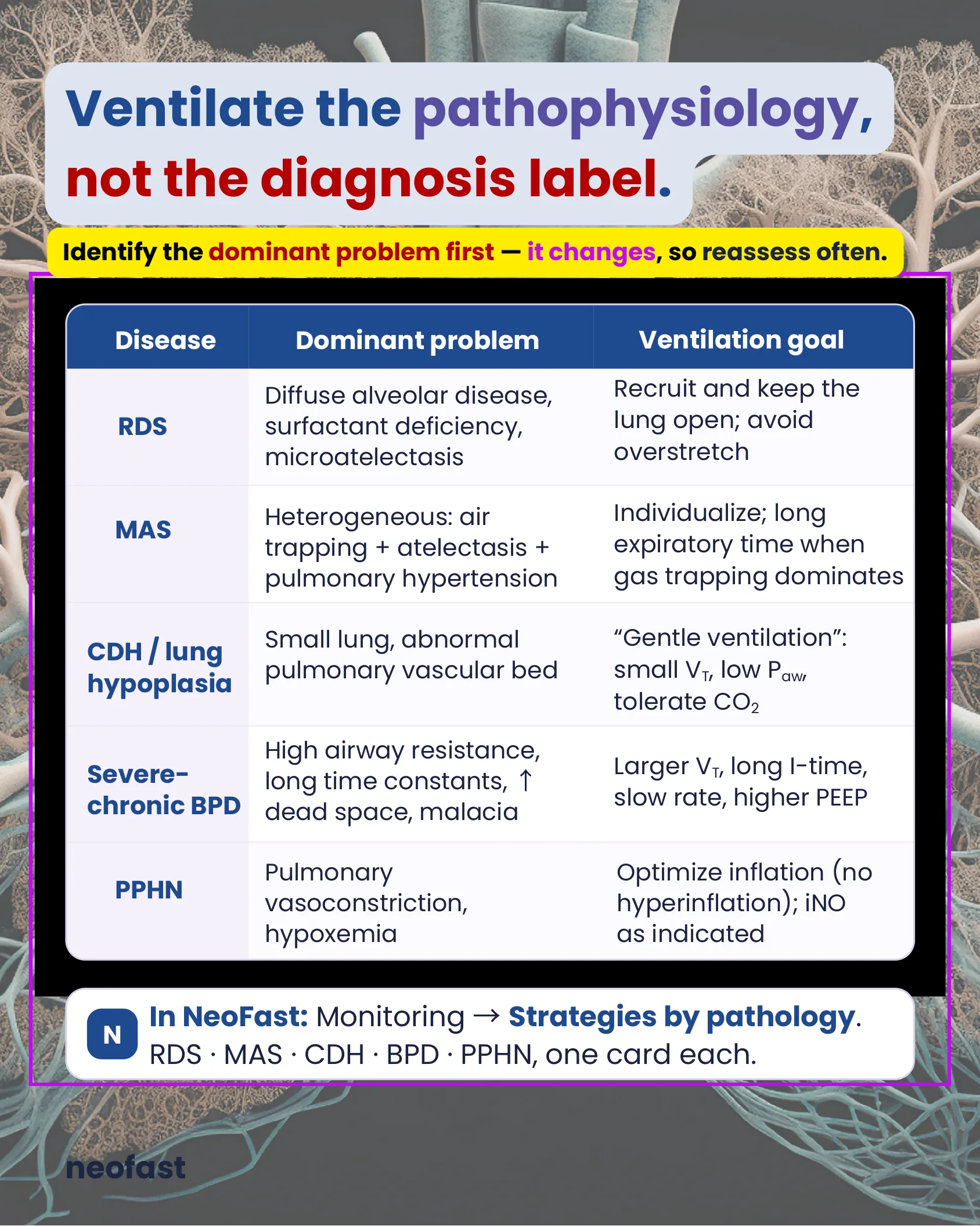 Table summarizing the dominant pathophysiologic problem and ventilation goal for RDS, MAS, CDH/lung hypoplasia, severe-chronic BPD, and PPHN.