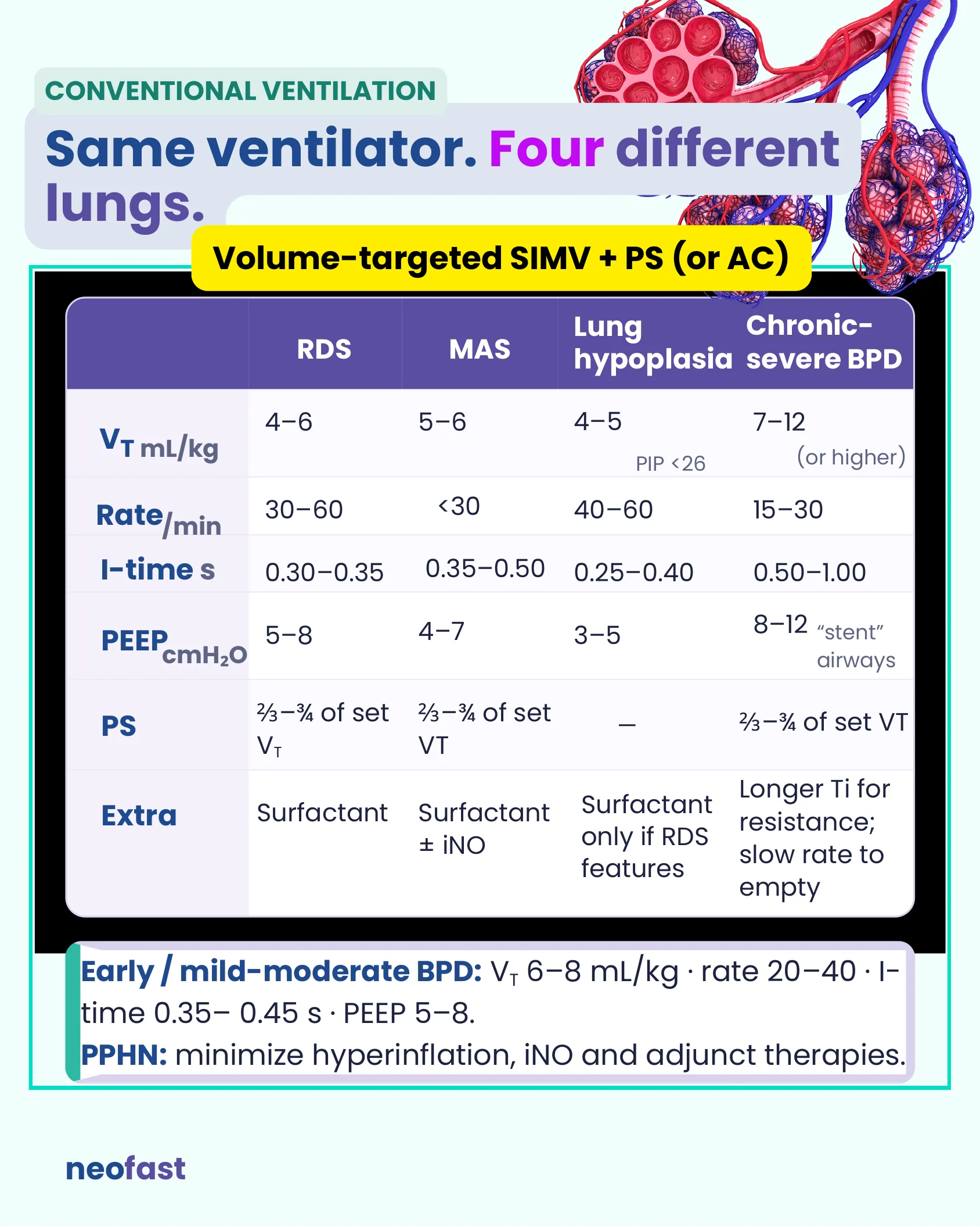 Table of conventional ventilation parameters (VT, rate, I-time, PEEP, PS, extras) for RDS, MAS, lung hypoplasia, and chronic-severe BPD using volume-targeted SIMV plus PS or AC.