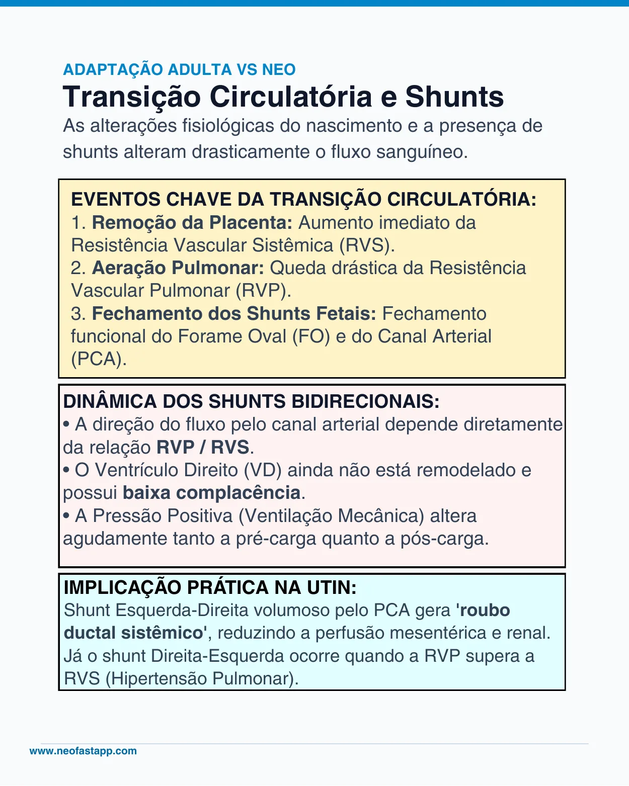 Infográfico sobre os eventos da transição circulatória neonatal e a dinâmica dos shunts bidirecionais pelo canal arterial e forame oval.