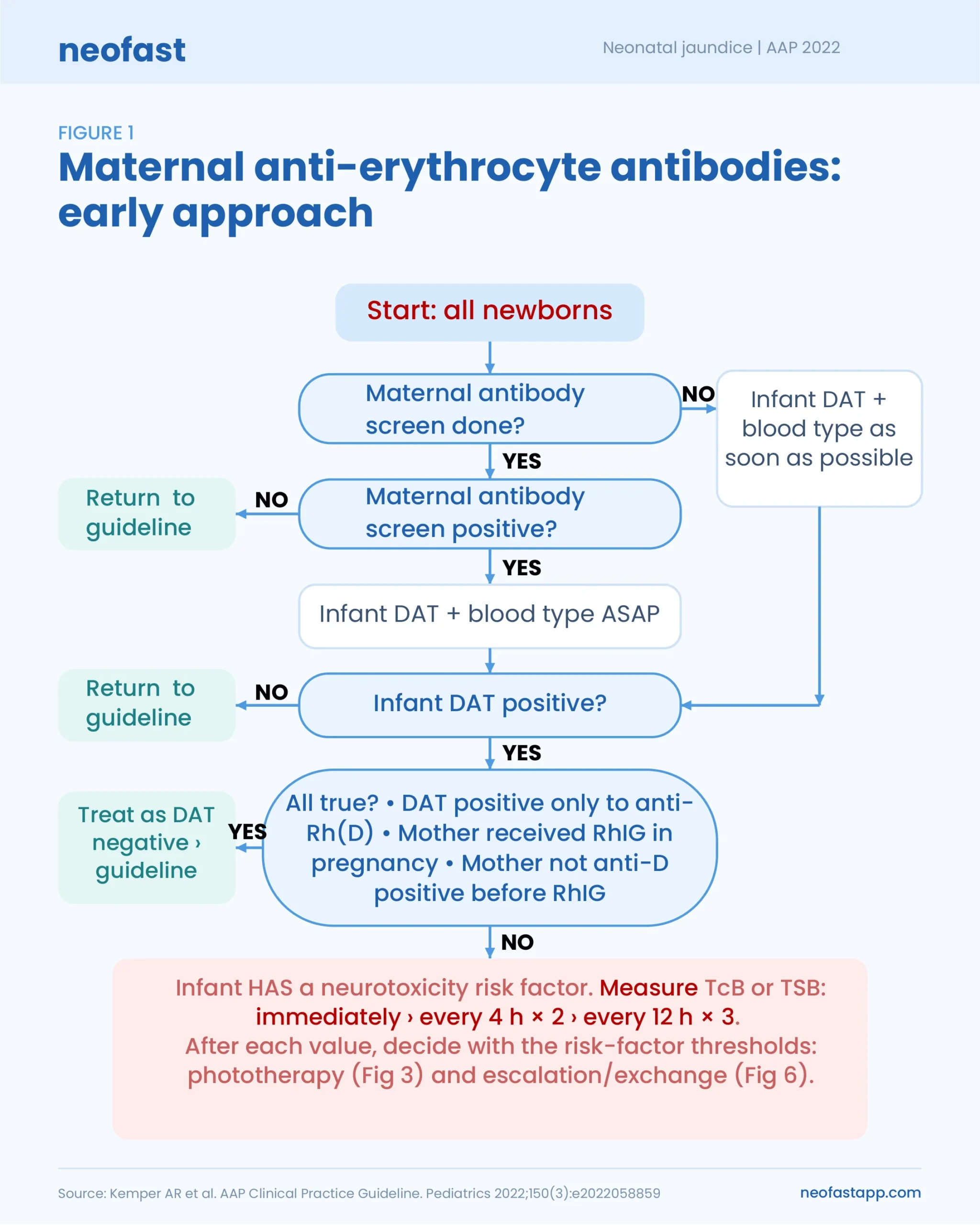 Flowchart for Figure 1 showing the early approach to maternal anti-erythrocyte antibody screening, DAT testing, and neurotoxicity risk assessment in newborns.