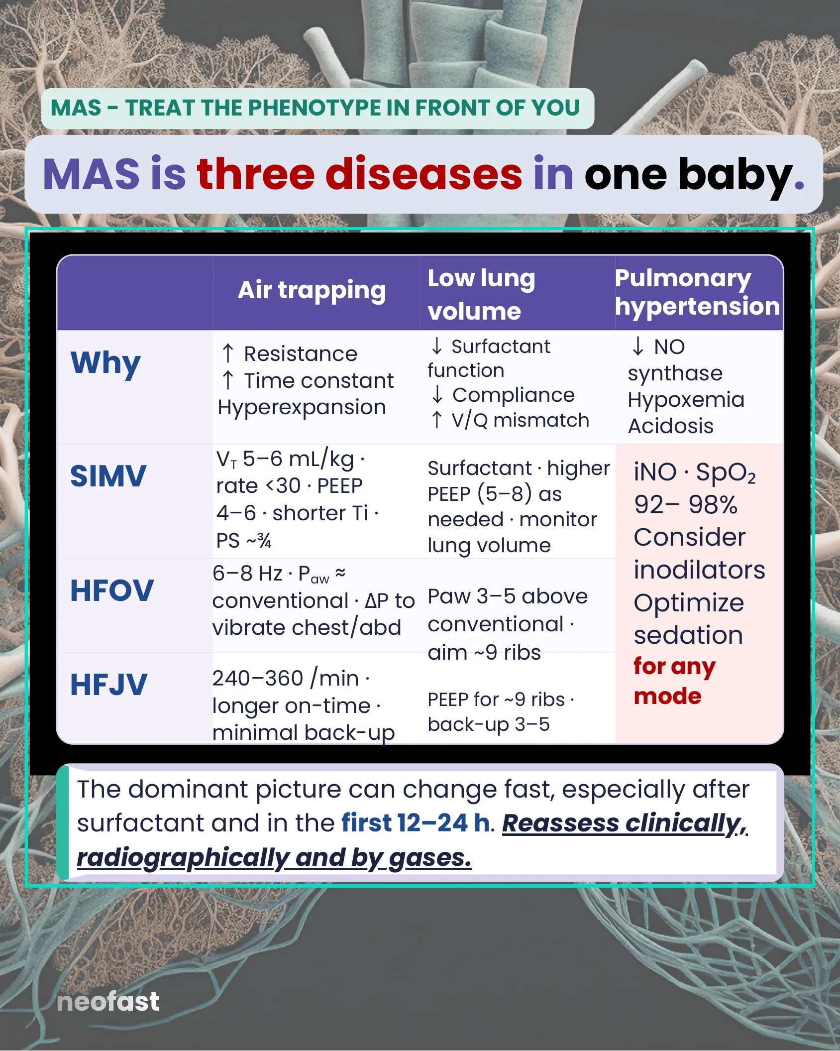 Table outlining the three MAS phenotypes (air trapping, low lung volume, pulmonary hypertension) with the pathophysiologic reason and corresponding SIMV, HFOV, and HFJV settings for each.