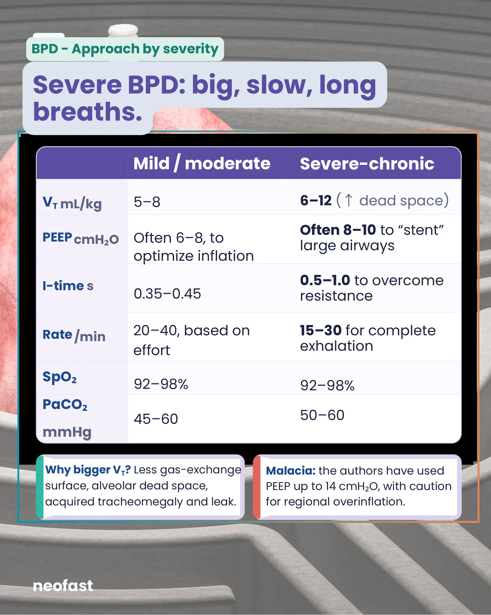 Table comparing ventilator settings for mild/moderate versus severe-chronic bronchopulmonary dysplasia, including tidal volume, PEEP, inspiratory time, rate, SpO2 and PaCO2 targets.