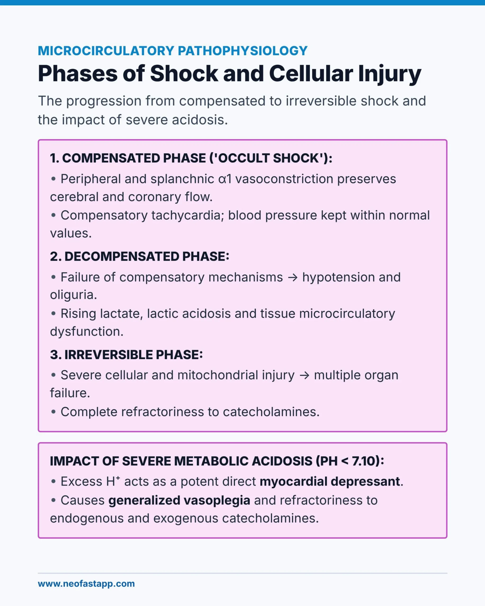 Infographic describing the compensated, decompensated and irreversible phases of shock and the impact of severe metabolic acidosis.