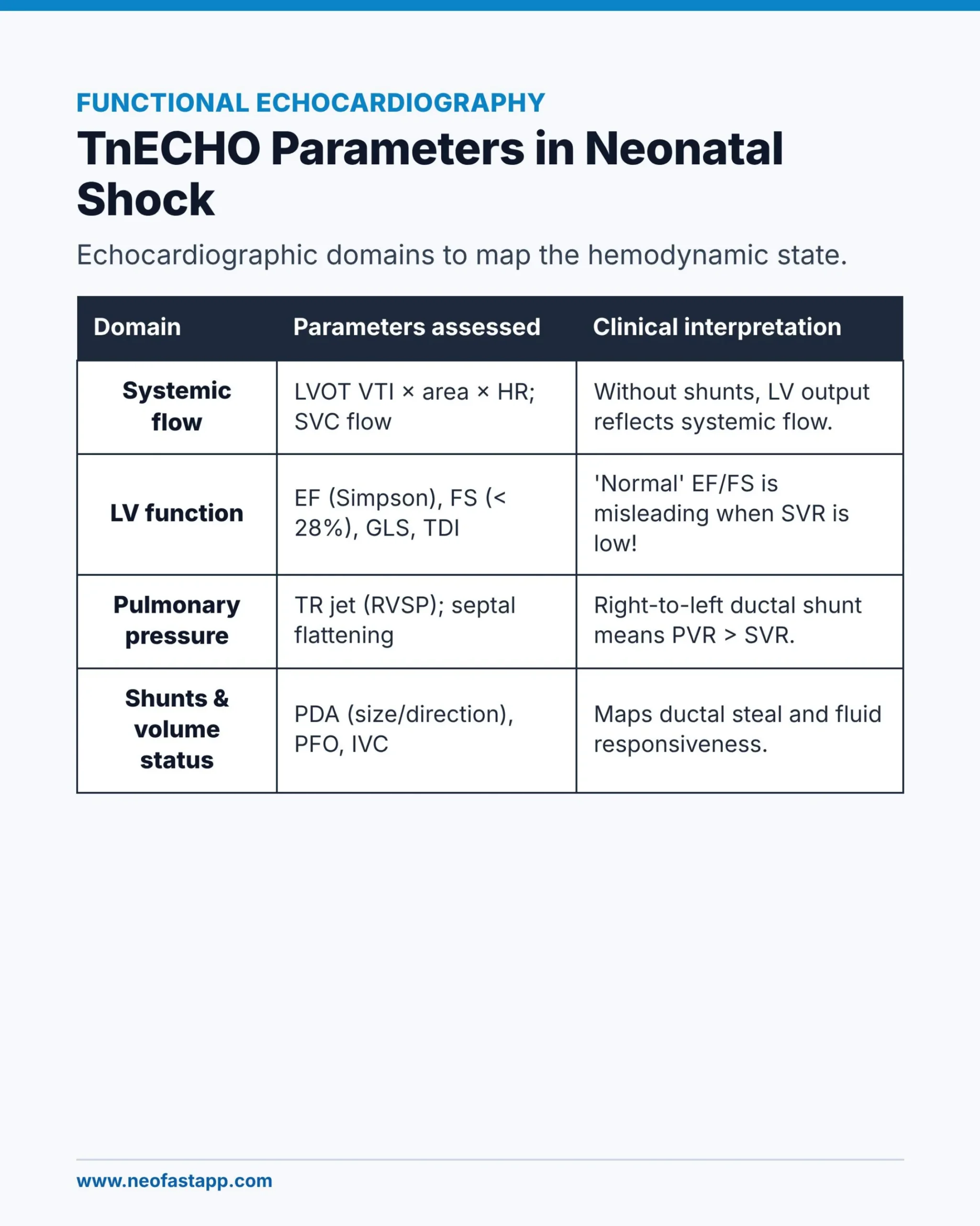 Table listing functional echocardiography domains including systemic flow, LV function, pulmonary pressure and shunts/volume status with clinical interpretation.